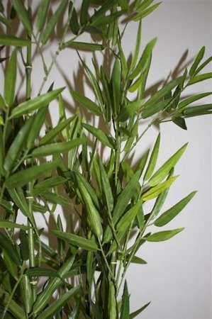BAMBUS - ROŚLINA DEKORACYJNA roślina sztuczna w donicy, wys. 123 cm