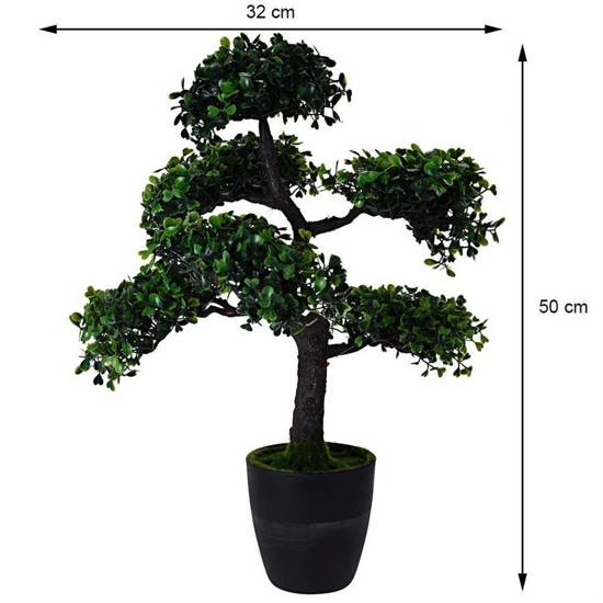 BONSAI drzewko liściaste bonsai w doniczce, wys. 50 cm