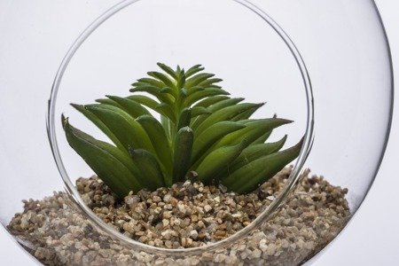 CLEAR GREEN sztuczna roślina ozdobna w szklanej kuli, 15x14x14 cm