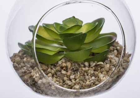 CLEAR GREEN sztuczna roślina ozdobna w szklanej kuli, 9x8x8 cm
