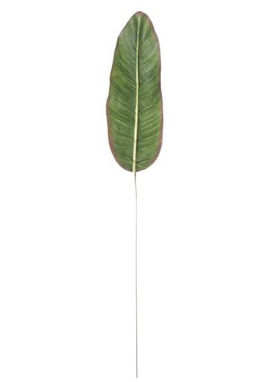 LIŚĆ DŁUGI roślina sztuczna z brązowym obrzeżem, komplet 12 sztuk, wys. 100 cm