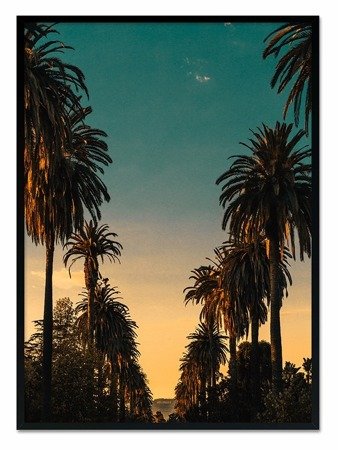 LOS ANGELES PODCZAS ZACHODZĄCEGO SŁOŃCA obraz w czarnej ramie, 53x73 cm