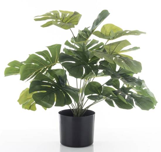 MONSTERA roślina dekoracyjna sztuczna w czarnej osłonce, wys. 55 cm
