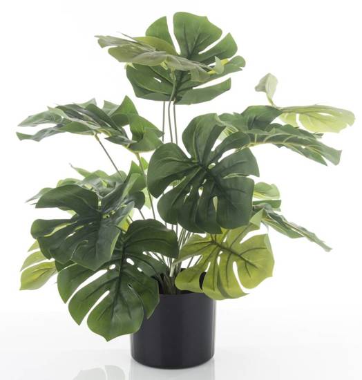 MONSTERA roślina dekoracyjna sztuczna w czarnej osłonce, wys. 55 cm