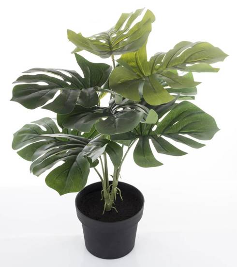 MONSTERA roślina dekoracyjna sztuczna w czarnej osłonce, wys. 55 cm