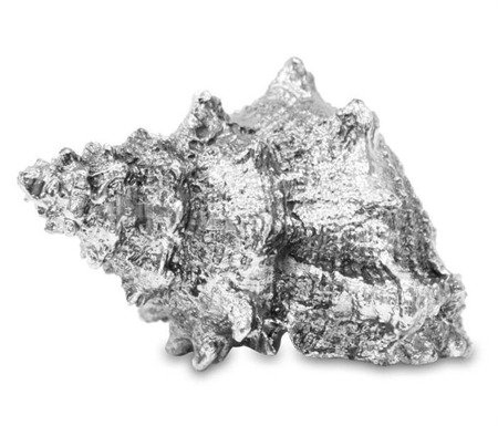 MUSZLA ozdoba, dekoracja srebrna 9x16x11 cm