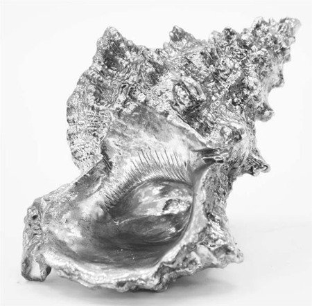 MUSZLA ozdoba, dekoracja srebrna 9x16x11 cm