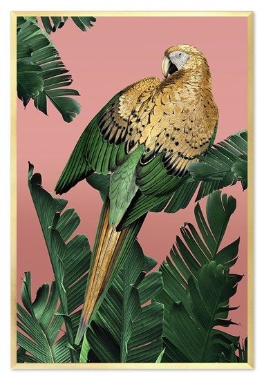 PAPUGA ZIELONO-ZŁOTA obraz w złotej ramie ptak na różowym tle  63x93 cm